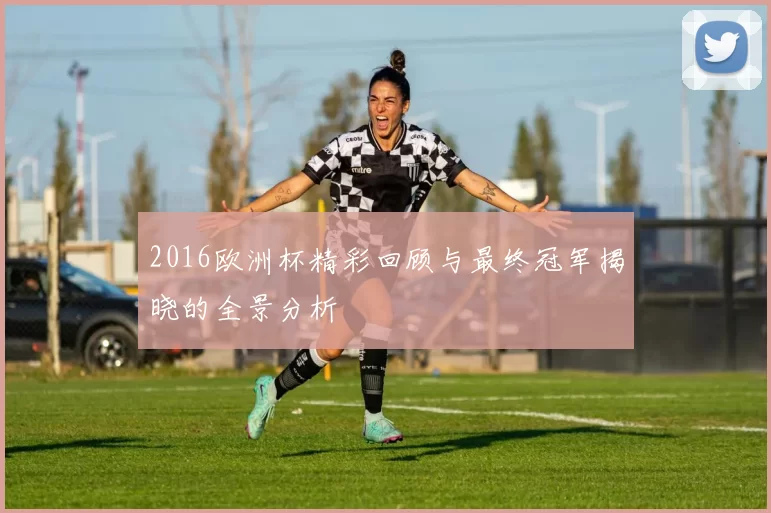 2016欧洲杯精彩回顾与最终冠军揭晓的全景分析