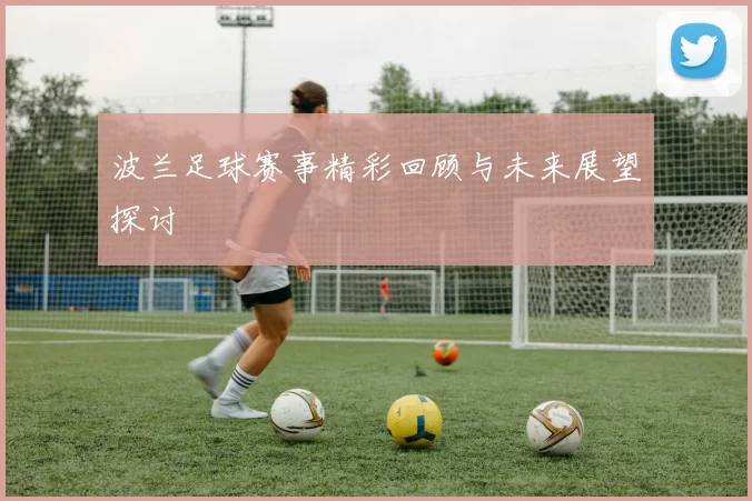 波兰足球赛事精彩回顾与未来展望探讨