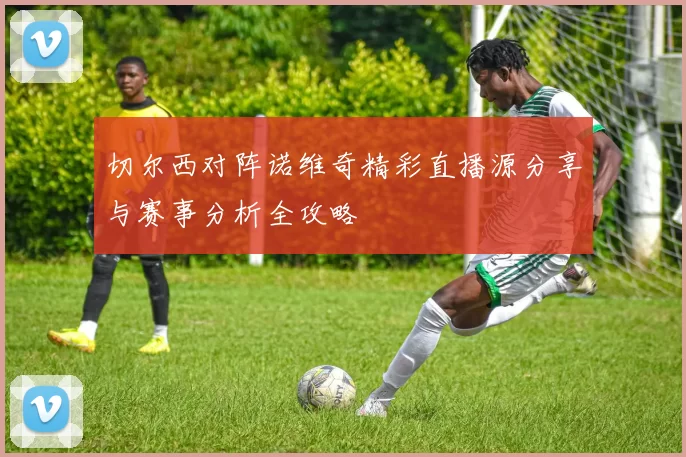 切尔西对阵诺维奇精彩直播源分享与赛事分析全攻略